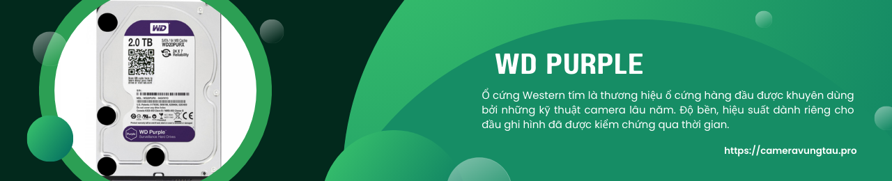 &raquo; WD Purple